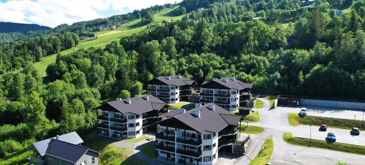 索丽雅高山公寓酒店(Alpin Apartments Sørlia)图片