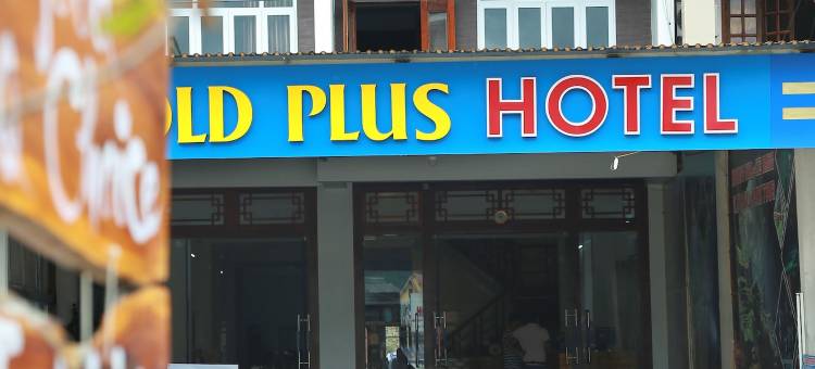 黄金Plus酒店(Gold Plus Hotel)图片