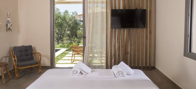 埃拉亚橄榄树丛(Elaia Grove)图片