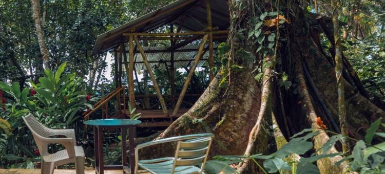 哥斯达黎加信仰帐篷营地(Faith Glamping Dome Costa Rica)图片