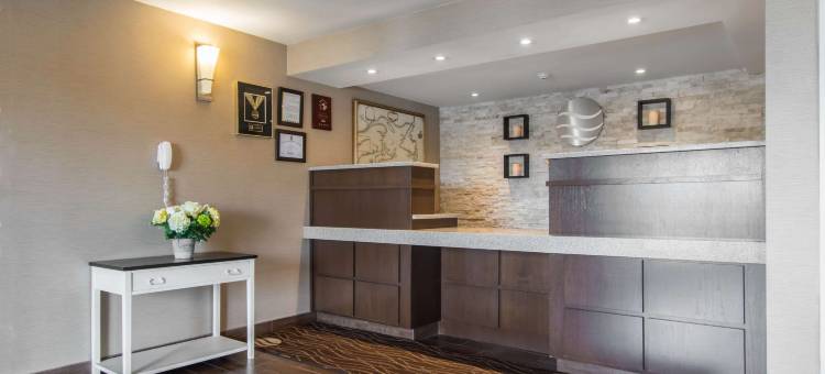 舒适酒店(Comfort Inn Dartmouth)图片