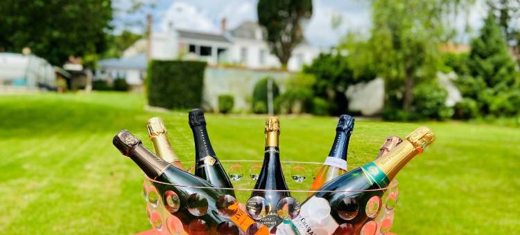 马乔兰城堡(Logis Hôtel & Restaurant Chateau de la Marjolaine)图片