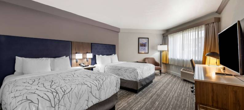 丹佛东方贝斯特韦斯特精品酒店(Best Western Premier Denver East)图片