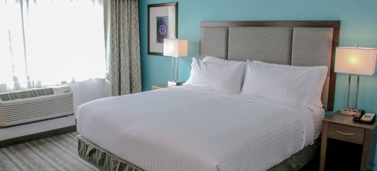 洲际酒店集团假日酒店及套房丹佛科技中心-森特尼尔(Holiday Inn & Suites Denver Tech Center-Centennial)图片