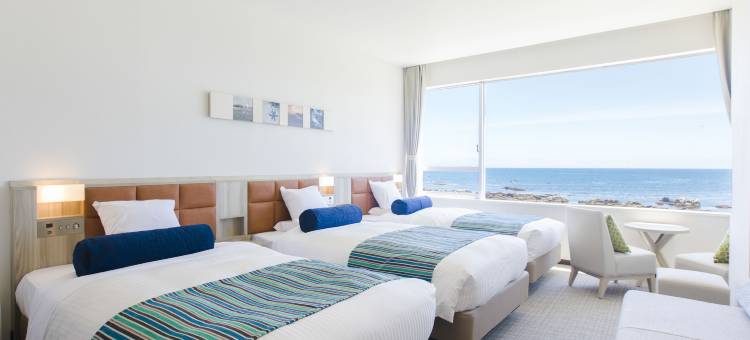 白滨海洋温泉度假酒店(Shirahama Ocean Resort)图片