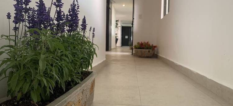 埃斯卡拉酒店普埃布拉中心(Hotel Escala Puebla Centro)图片