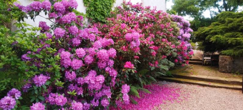 修道院家庭旅馆旅馆(Chambres d'hôtes le Prieuré)图片