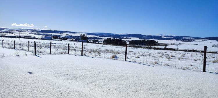 希尔黑德藏身处(Hillhead Hideaways)图片