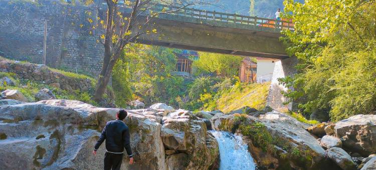 吉布什疯狂包装工旅馆(Madpackers Jibhi - of Streamsides & Waterfalls)图片