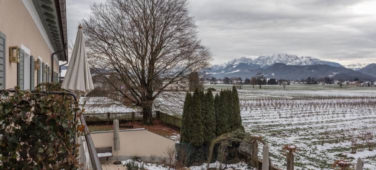 努玛一号常春藤客房酒店(Numa Salzburg Ivy)图片