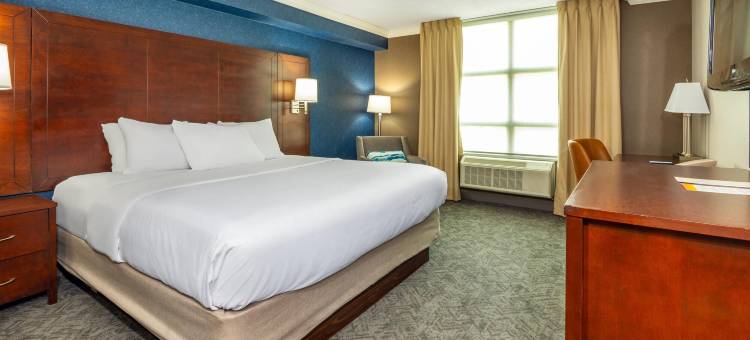 多伦多机场皮尔逊会议酒店(Comfort Inn & Conference Centre Toronto Airport)图片