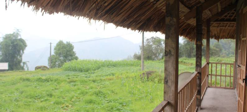 盖恩斯民宿 - 青年旅舍(Guyen's Homestay - Hostel)图片