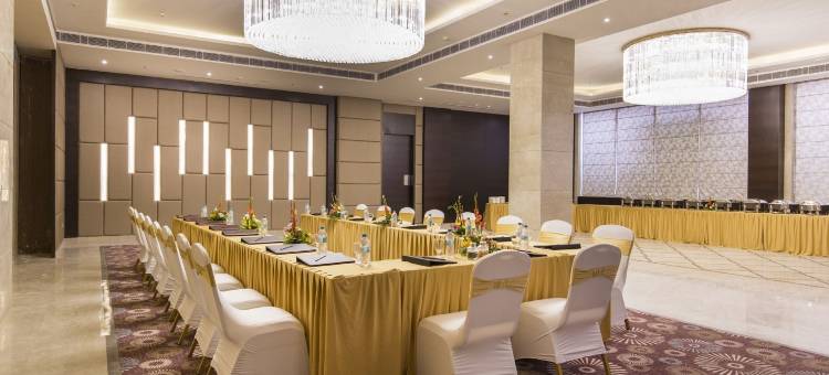 比尔甘杰迪耶罗广场酒店by Soaltee(Diyalo Plaza Birgunj by Soaltee)图片