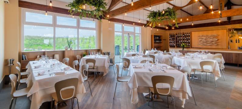 马尔非萨农场酒店(Il Podere di Marfisa)图片