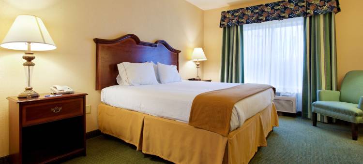 智选假日套房酒店南圣安东尼奥(Holiday Inn Express & Suites San Antonio South)图片