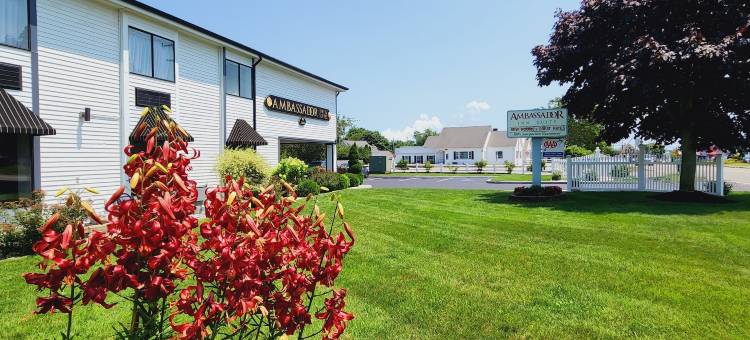 大使套房酒店(Ambassador Inn and Suites)图片