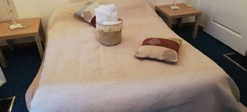 巴斯蒂埃酒店(L'hôtel du Bastier)图片