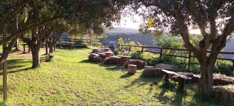 博尔戈迪圣巴巴拉酒店(Borgo di Santa Barbara)图片