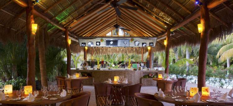 埃尔多拉多皇家，双体船，天然井，全包及更多限成人(Hotel El Dorado Casitas Royale)图片