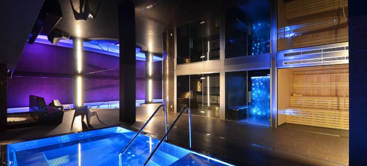 阿西维瓦尔达兰Spa酒店(Hotel Spa Acevi Val D’Aran)图片