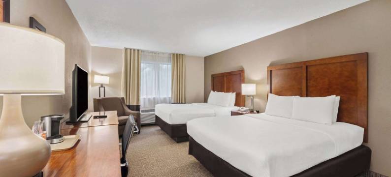 迈尔斯堡舒适酒店(Comfort Inn Fort Myers Northeast)图片