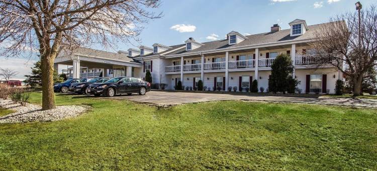 舒适酒店(Comfort Inn)图片