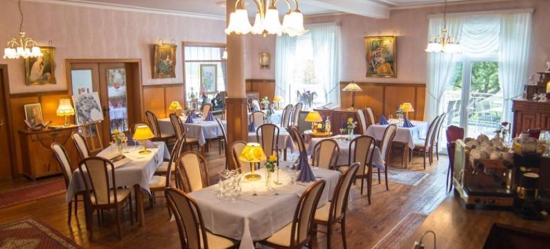 祖尔波斯特酒店 - 摩泽尔河畔城堡(Hotel Zur Post)图片