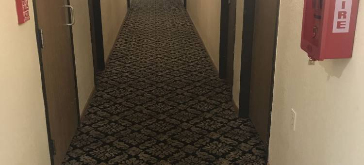 麦奇诺市布里奇维尤速8酒店(Super 8 by Wyndham Bridgeview of Mackinaw City)图片