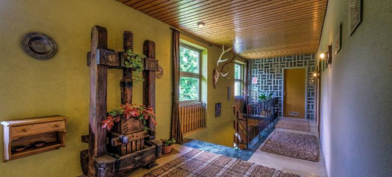 菲特尔山区的瓦格纳酒店(Wagners Hotel im Fichtelgebirge)图片