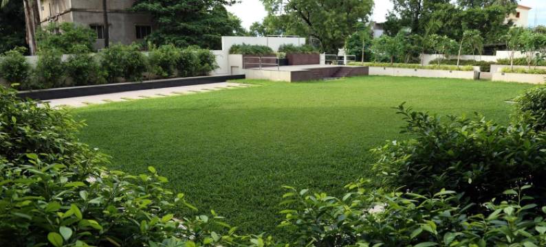 沙克蒂大陆酒店(Hotel Shakti Continental)图片