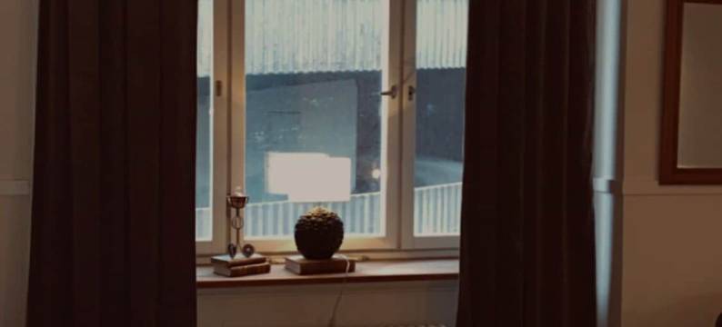 最佳客人青年旅馆(Best Guest)图片