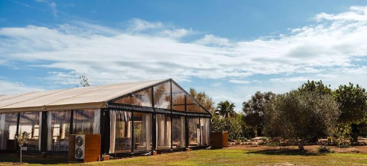 马略卡佐伊特利养生酒店及水疗中心(Zoetry Mallorca Wellness & Spa)图片