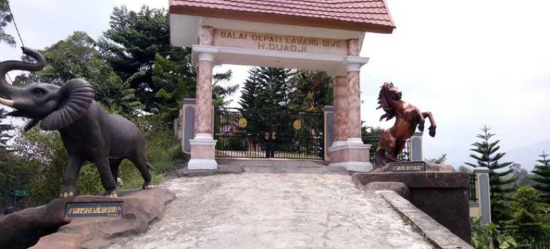 苏门答腊阿欧戴尔斯邓波帕加阿拉姆别墅酒店(Aldeoz Dempo Pagar Alam Villa Sumsel)图片