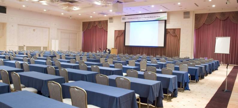 札幌朵蕾丝水疗度假酒店(Chateraise Gateaux Kingdom Sapporo Hotel & Spa Resort)图片