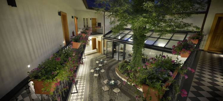 白色百合酒店(Hotel At the White Lily)图片