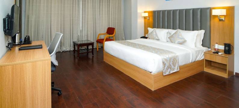 乌代布尔舒适酒店(Comfort Inn Udaipur)图片