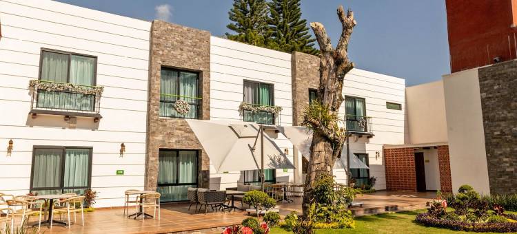 典型精品酒店(Hotel Boutique Típico)图片