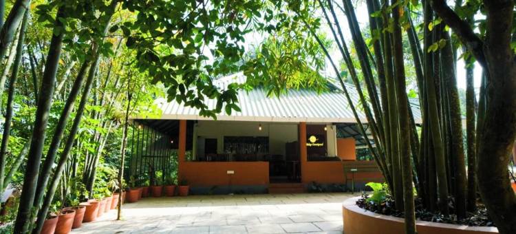 假日庭院(Holiday Courtyard)图片
