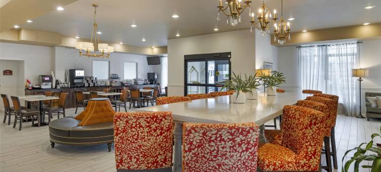 葡萄园贝斯特韦斯特优质套房酒店(Best Western Plus Vineyard Inn  Suites)图片