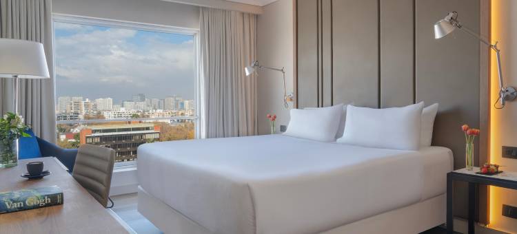 圣地亚哥NH 华雷斯城德酒店(NH Ciudad de Santiago)图片