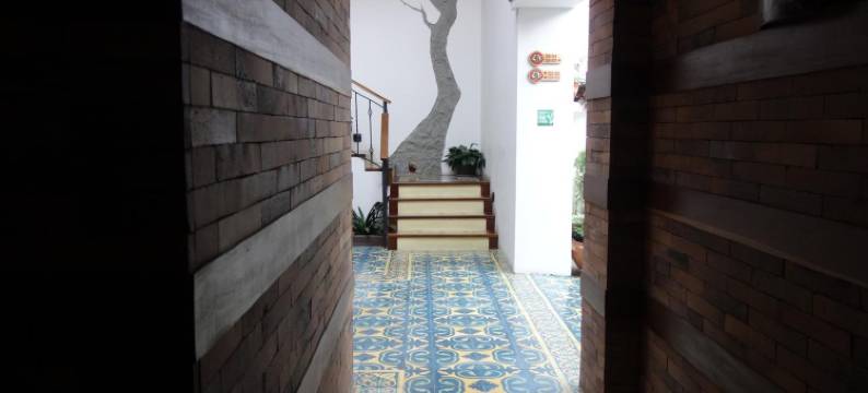 可瑞库旅舍(The Cranky Croc Hostel)图片