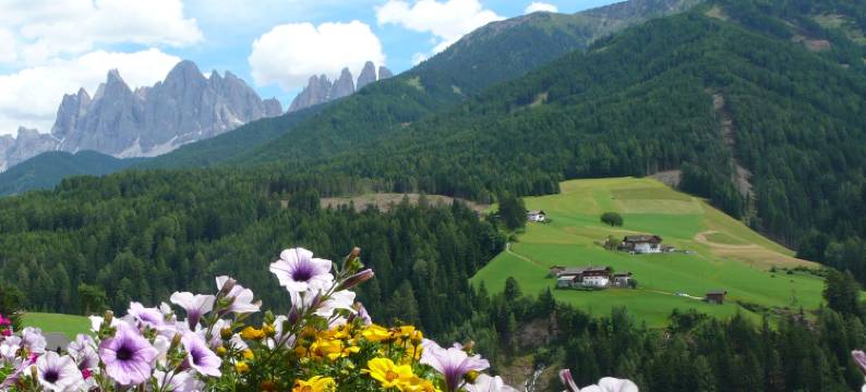 塔格霍夫居所酒店(Residence Töglhof)图片
