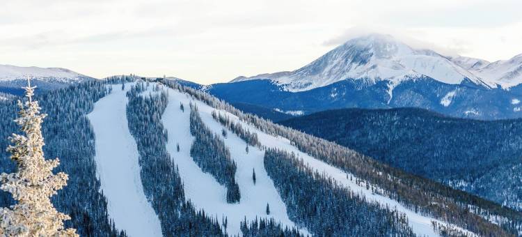 红鹰旅馆 #2235(2235 Red Hawk Lodge)图片