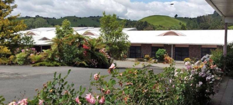 中央公园汽车旅馆(Central Park Motor Inn)图片