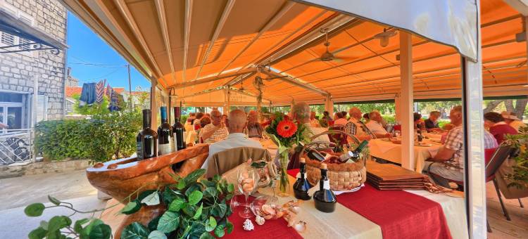 特罗吉尔酒店(Hotel Trogir)图片