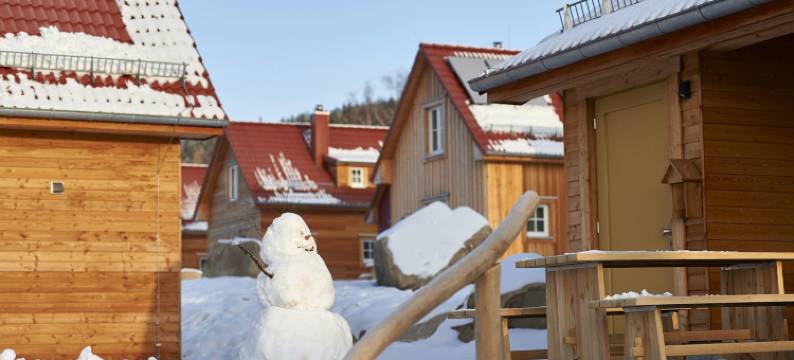 达斯施奇赫哈尔斯布罗肯度假村(Das Schierke Harzresort)图片