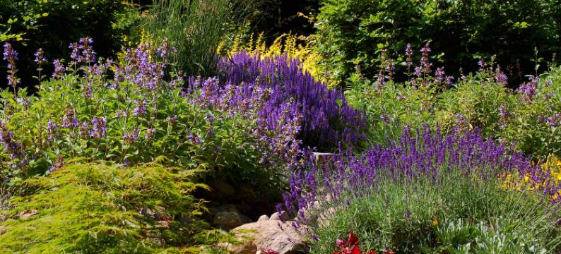 海德克劳派克酒店(Hotel Heide Kröpke)图片