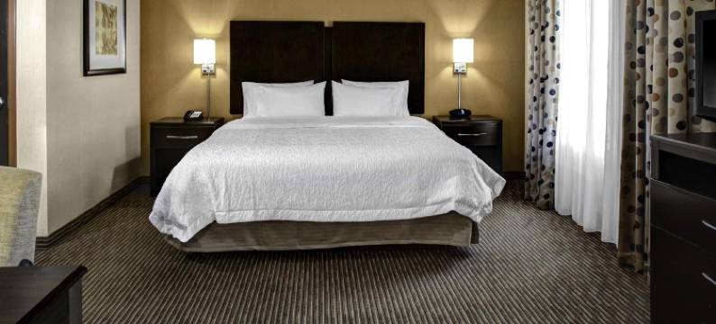 贝克斯菲尔德58号公路欢朋套房酒店(Hampton Inn & Suites Bakersfield/Hwy 58)图片