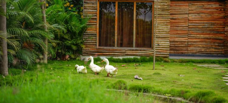 卡德盖度假村(Kaadgal Resort)图片