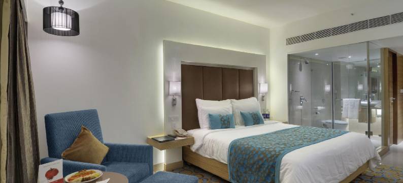 艾哈迈达巴德傲世广场酒店(Pride Plaza Hotel, Ahmedabad)图片